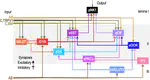 Multiscale computer model of the spinal dorsal horn reveals changes in network processing associated with chronic pain