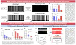 Conductance-based model of subfornical organ neurons predicts integration of cardiovascular and inflammatory signals.